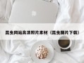阿拉善盟昆虫网站高清照片素材（昆虫图片下载）